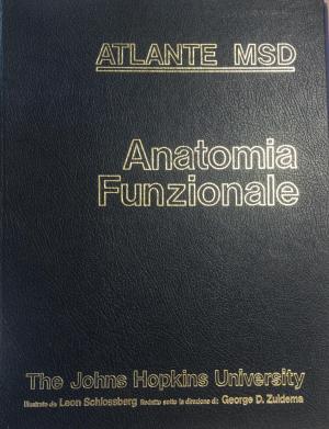 ANATOMIA FUNZIONALE